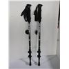 Image 1 : SEVEN PEAKS HIKING POLE (BLACK)