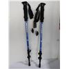 Image 1 : SEVEN PEAKS HIKING POLE (BLUE)