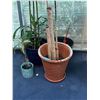 Image 2 : 4pc - Office Plants & Planters
