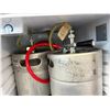 Image 4 : Danby Kegerator Dual Tap Fridge - Tested & Working