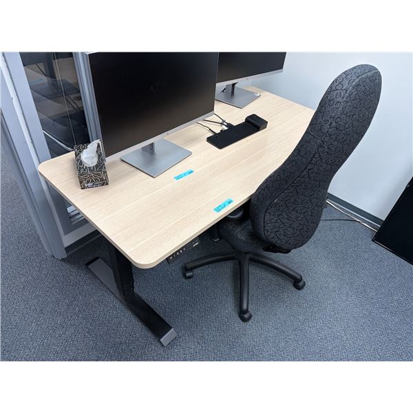 Electric Adjustable Desk (Approx. 60 L x 30in D)