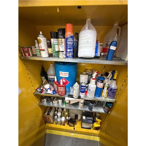 Contents of Cabinet - Isopropyl Alcohol, Commercial Cleaners, Leak Detection Fluid, Loctite, Etc.