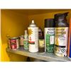 Image 2 : Contents of Cabinet - Isopropyl Alcohol, Commercial Cleaners, Leak Detection Fluid, Loctite, Etc.
