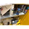 Image 7 : Contents of Cabinet - Isopropyl Alcohol, Commercial Cleaners, Leak Detection Fluid, Loctite, Etc.