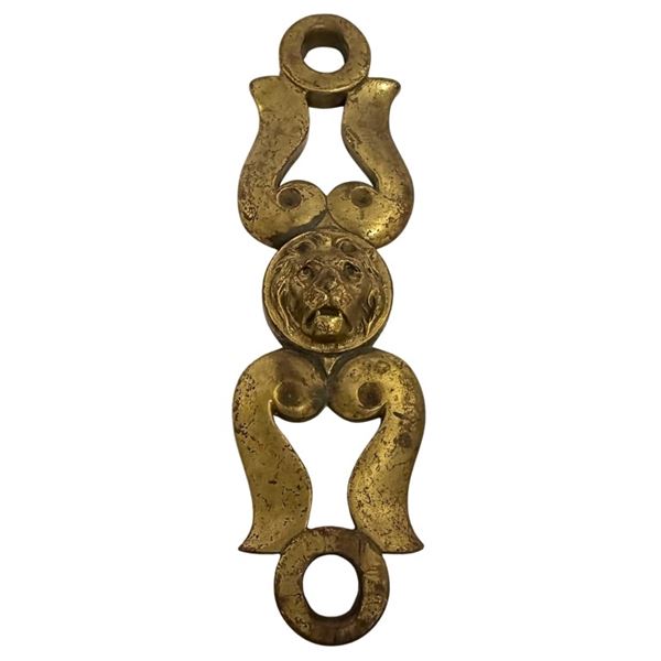 Bronze Lion Head Entry Door Pull Backplate