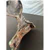 Image 4 : Cast Iron Rooster Doorstop