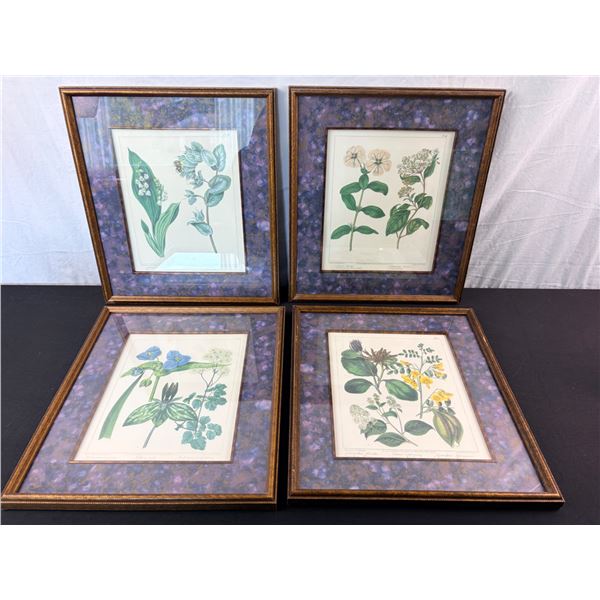 Framed Floral Prints