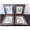 Image 1 : Framed Floral Prints
