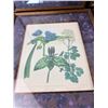 Image 2 : Framed Floral Prints