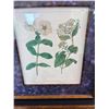 Image 4 : Framed Floral Prints