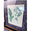 Image 5 : Framed Floral Prints