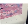 Image 4 : Boyer Tea Art Prints