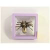 Image 1 : NEW BRASS SPIDER STATUE