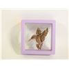 Image 1 : NEW AMBER COLOR RHINESTONE HUMMINGBIRD