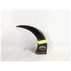 Image 1 : VINTAGE BULL HORN 2004 ARCTIC WINTER