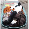 Image 1 : CRAFT SUPPLIES TO MAKE TEDDY BEARS,
