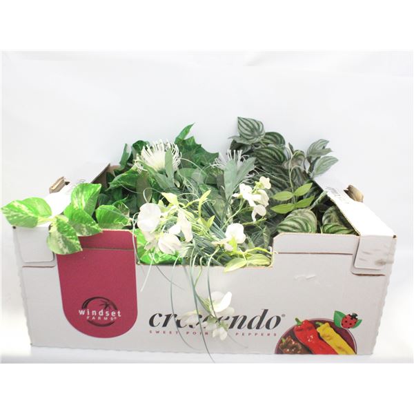 5 ARTIFICAL PLANTS (3 HANGING) - ESTATE