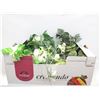 Image 1 : 5 ARTIFICAL PLANTS (3 HANGING) - ESTATE