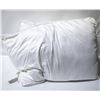 Image 1 : 2 PACK OF ROOTS HOME FIBERFILL PILLOWS QUEEN SIZE