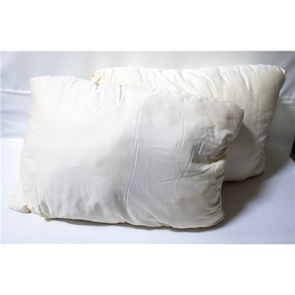 2 PACK OF SEALY SIMPLY COTTON PILLOWS QUEEN SIZE