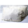 Image 1 : 2 PACK OF SEALY SIMPLY COTTON PILLOWS QUEEN SIZE