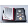 Image 1 : 1990 RCM 7 COIN COLLECTORS SET IN LEATHER CASE
