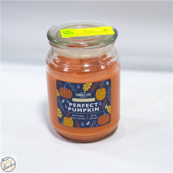NEW SEALED LIMITED EDITION PERFECT PUMPKIN