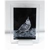 Image 1 : PLASTIC ETCHED ART ON DISPLAY STAND