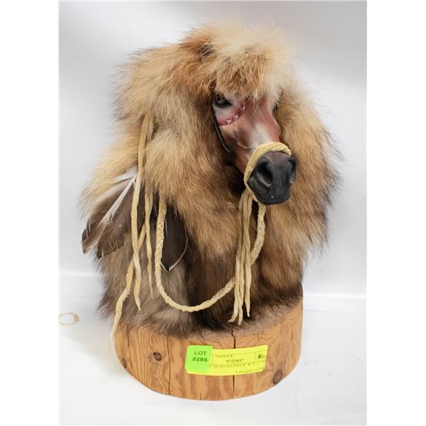 HORSE HEAD NATIVE 8``W X 12``H