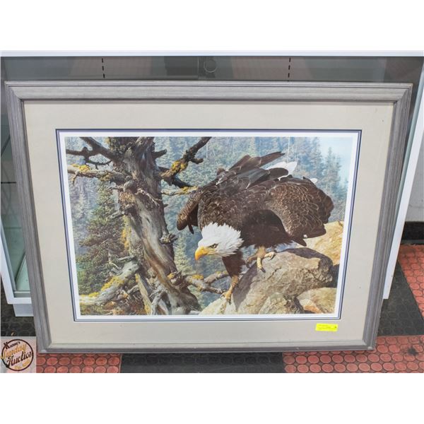 EAGLE PRINT BY CARL BRENDERS 36X36