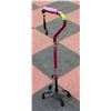 Image 1 : PINK HUGO CANE WITH 4 FOOTIES
