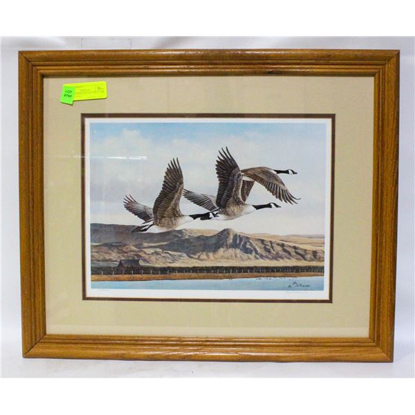 CANADA GEESE BY KAY WILLIAMS PRINT SIGNED