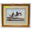 Image 1 : CANADA GEESE BY KAY WILLIAMS PRINT SIGNED