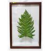 Image 1 : FRAMED LEAF IN CLEAR GLASS FRAME