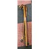 Image 1 : LOT OF WALKING STICKS