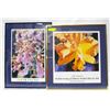 Image 1 : 25TH ANNUAL ORCHID SHOW FRAMED POSTER & ORCHID