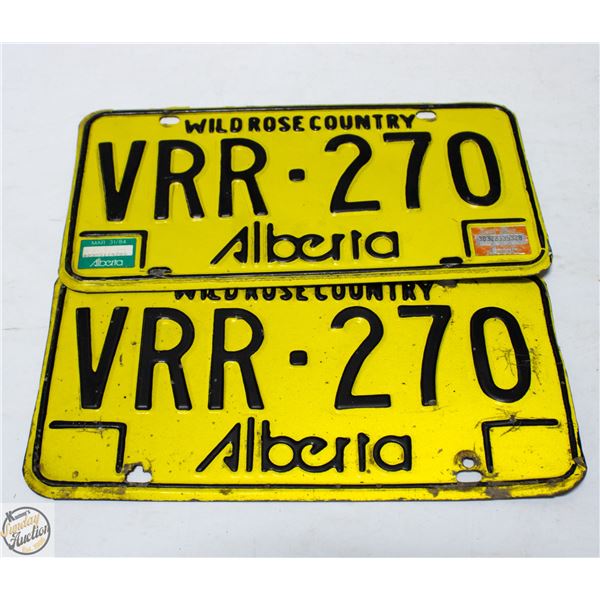 2 VINTAGE MATCHING YELLOW 80S ALBERTA LICENSE