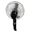 Image 3 : Oscillating Pedestal Fan