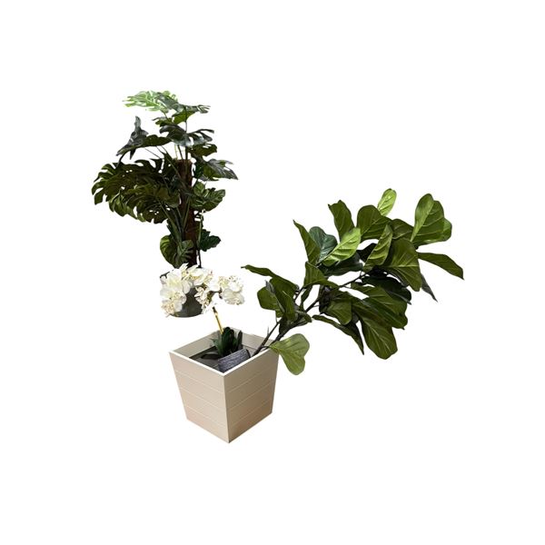 3 Indoor Decor Plants and Metal Pot