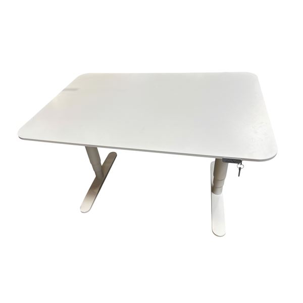 White Adjustable Desk
