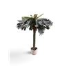 Image 1 : Faux Palm Tree