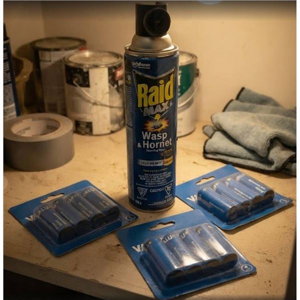 Raid Max Wasp & Hornet Spray With Valu+ Fly R