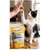 Image 1 : Ten Cats Pillow Pockets Cat Treats, 6 Packs
