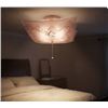 Image 1 : Westinghouse Semi-Flush Mount Light