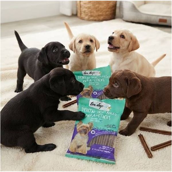 Ten Dogs Dental Dentaikes Dura-Sticks Bulk
