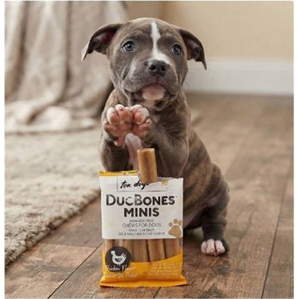 DuoBones Minis Rawhide Free Dog Chews
