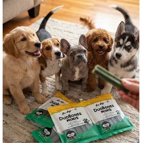 Ten Dogs DuoBones Minis Dog Chews, Mint