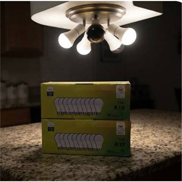20-Pack Yesoming A19 15W LED Bulbs