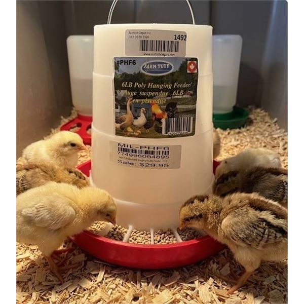Farm-Tuff 6LB Poly Hanging Feeder