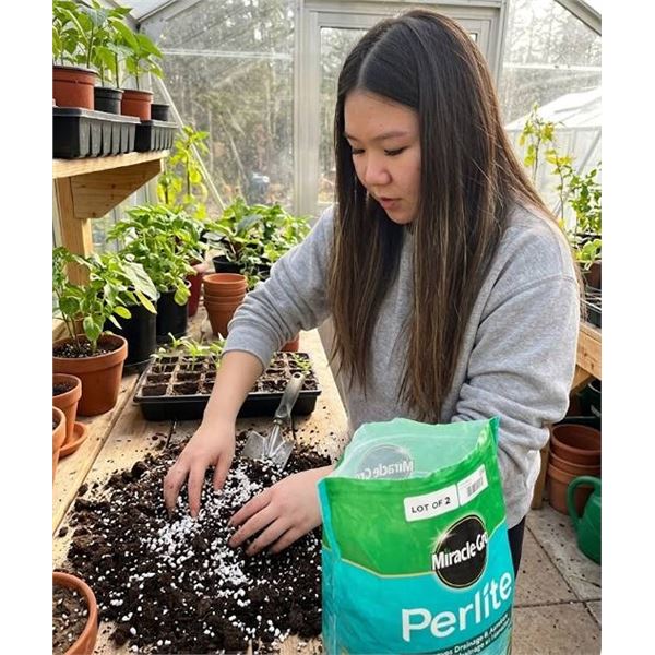 Miracle-Gro Perlite Lot of 2